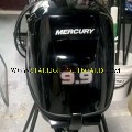 https://starlightoutboard.com